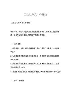 卫生站年度工作计划