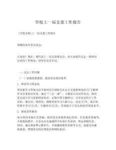 学校上一届支委工作报告