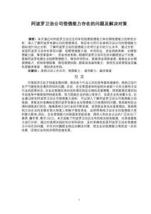 阿波罗卫浴公司偿债能力存在的问题及解决对策【论文10000字】