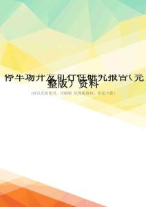 停车场开发可行性研究报告(完整版)资料