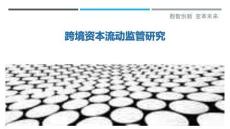 跨境资本流动监管研究-洞察剖析