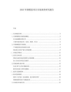 2025年钢模套项目市场调查研究报告