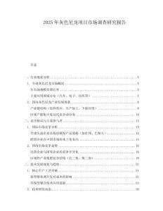 2025年灰色尼龙项目市场调查研究报告