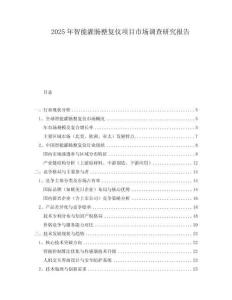 2025年智能灌肠整复仪项目市场调查研究报告