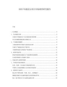 2025年滤洗头项目市场调查研究报告