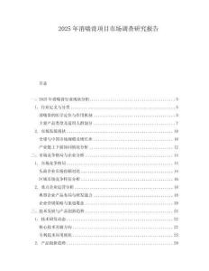 2025年消喘膏项目市场调查研究报告