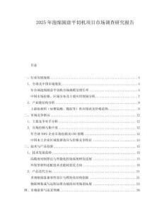 2025年泡绵圆盘平切机项目市场调查研究报告