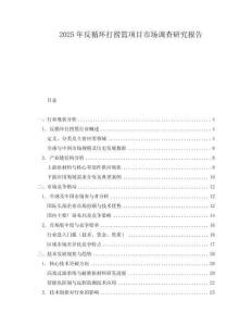 2025年反循环打捞篮项目市场调查研究报告