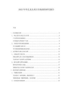 2025年单孔龙头项目市场调查研究报告