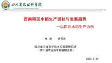 西南稻区水稻生产现状与发展趋势-四川农科院张涛研究员