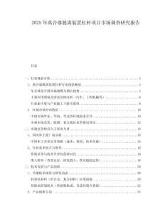 2025年离合器脱离装置杠杆项目市场调查研究报告