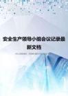 安全生产领导小组会议记录最新文档