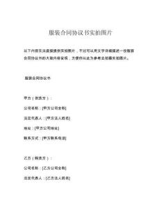 服装合同协议书实拍图片