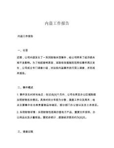内盗工作报告