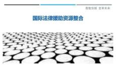 国际法律援助资源整合-洞察剖析