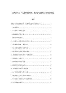 宏观冲击下的微观创新：机遇与挑战并存的研究