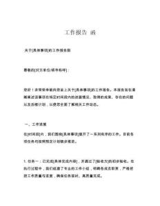 工作报告 函