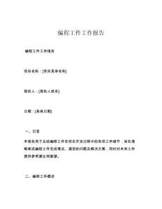 编程工件工作报告