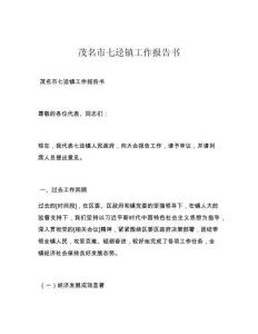 茂名市七迳镇工作报告书