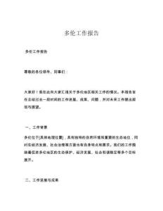 多伦工作报告
