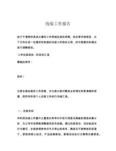 伪装工作报告