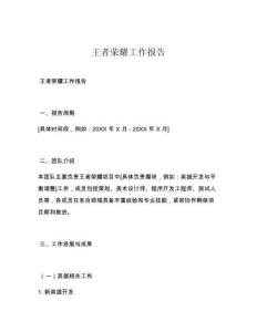 王者荣耀工作报告