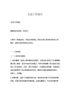 专武工作报告