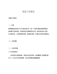 清原工作报告