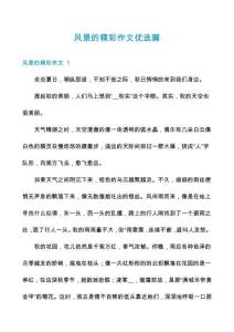 风景的精彩作文优选篇