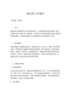 响沙湾工作报告