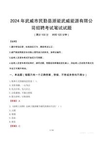 2024年武威市民勤县浙能武威能源有限公司招聘笔试真题