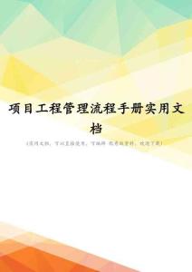 项目工程管理流程手册实用文档