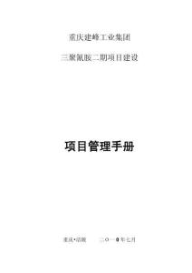 2025年三聚氰胺二期工程建设项目管理手册