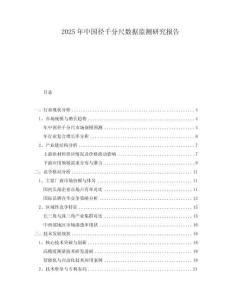 2025年中国径千分尺数据监测研究报告