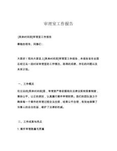 审理室工作报告