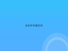 【实用资料】麦粒肿和霰粒肿PPT