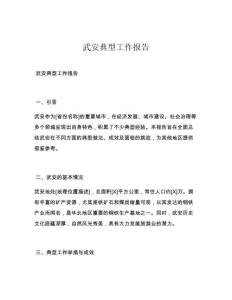 武安典型工作报告