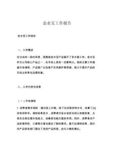 金水宝工作报告