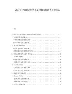 2025年中国自动粗纱头处理机市场调查研究报告