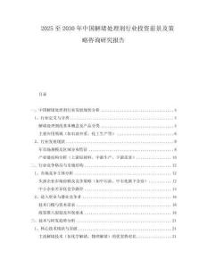 2025至2030年中国解堵处理剂行业投资前景及策略咨询研究报告
