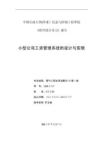 2025年小型公司工资管理系统报告C