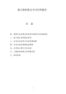 2025年担保公司可行方案