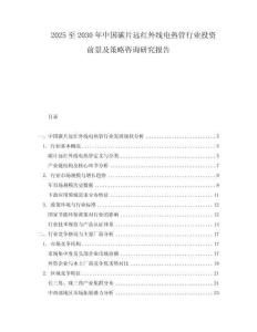 2025至2030年中国碳片远红外线电热管行业投资前景及策略咨询研究报告