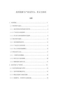 技术创新与产业竞争力：多元与协同