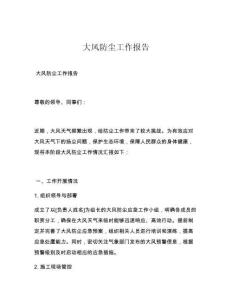 大风防尘工作报告