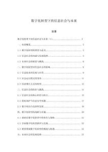 数字化转型下的信息社会与未来