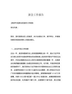 新会工作报告