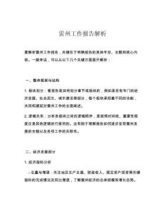 雷州工作报告解析