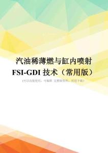 汽油稀薄燃与缸内喷射FSI-GDI技术(常用版)