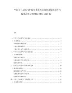 中国全自动蒸气炉行业市场发展前景及发展趋势与投资战略研究报告2025-2028版